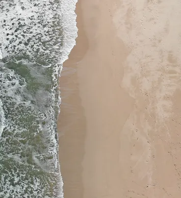 Rehabilitation Therapists